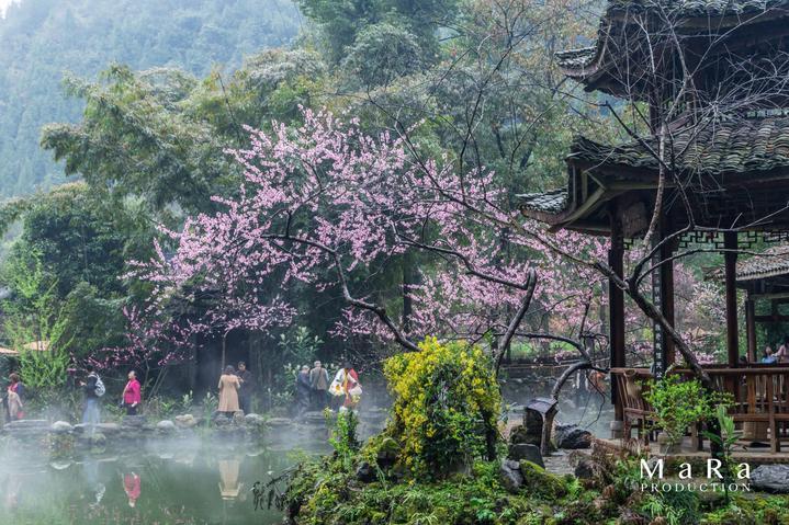 公主的成人礼