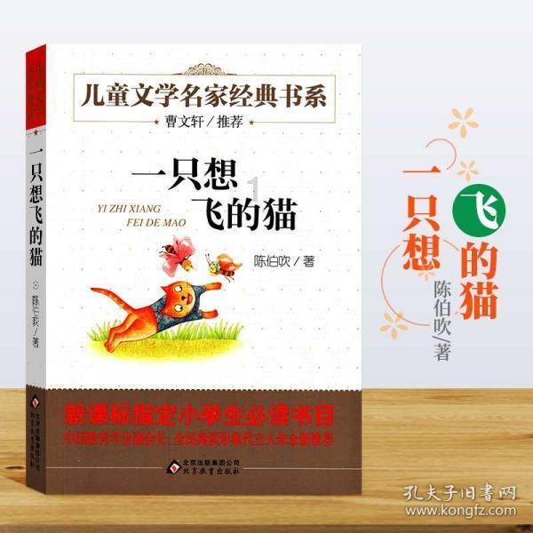 面条怎么做才好吃做法