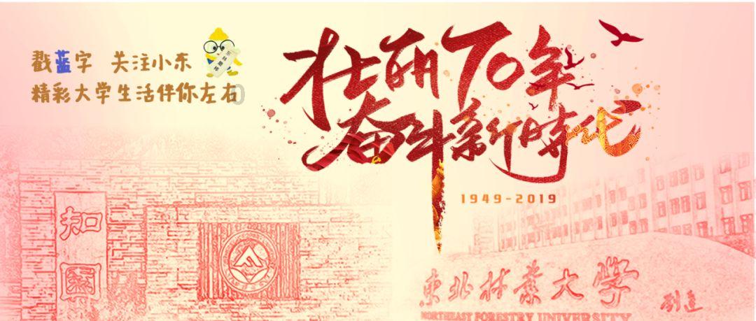 公主鞋蛋糕