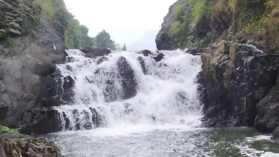 生化危机7