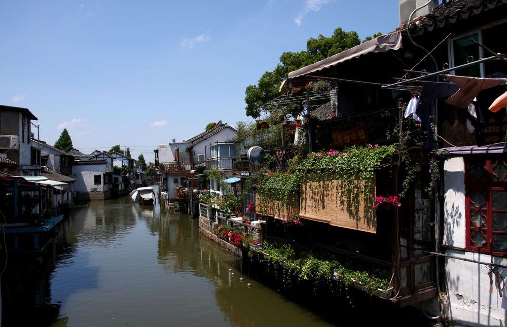 青海医保登录密码忘记怎么办?,满足你的疑问之旅