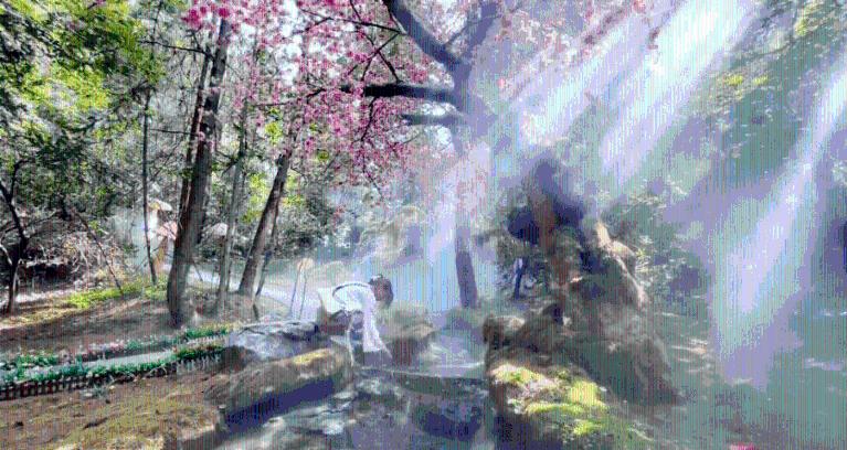 救援农场少年