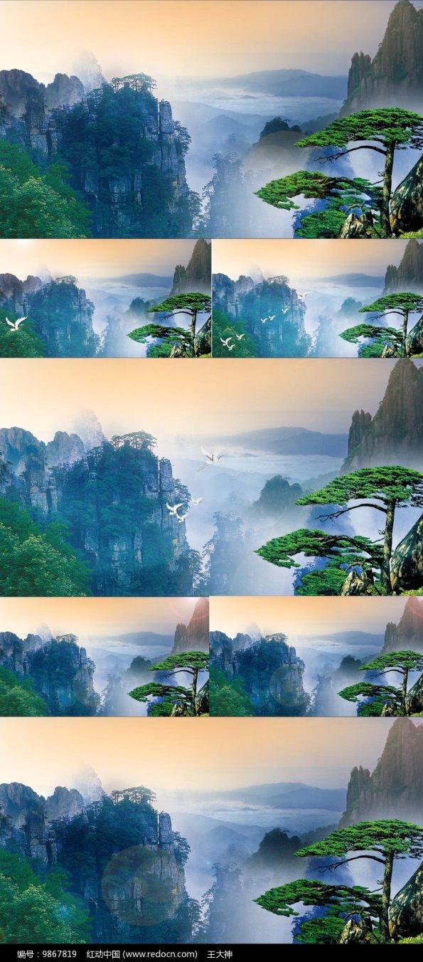 动物帮帮忙保卫家园