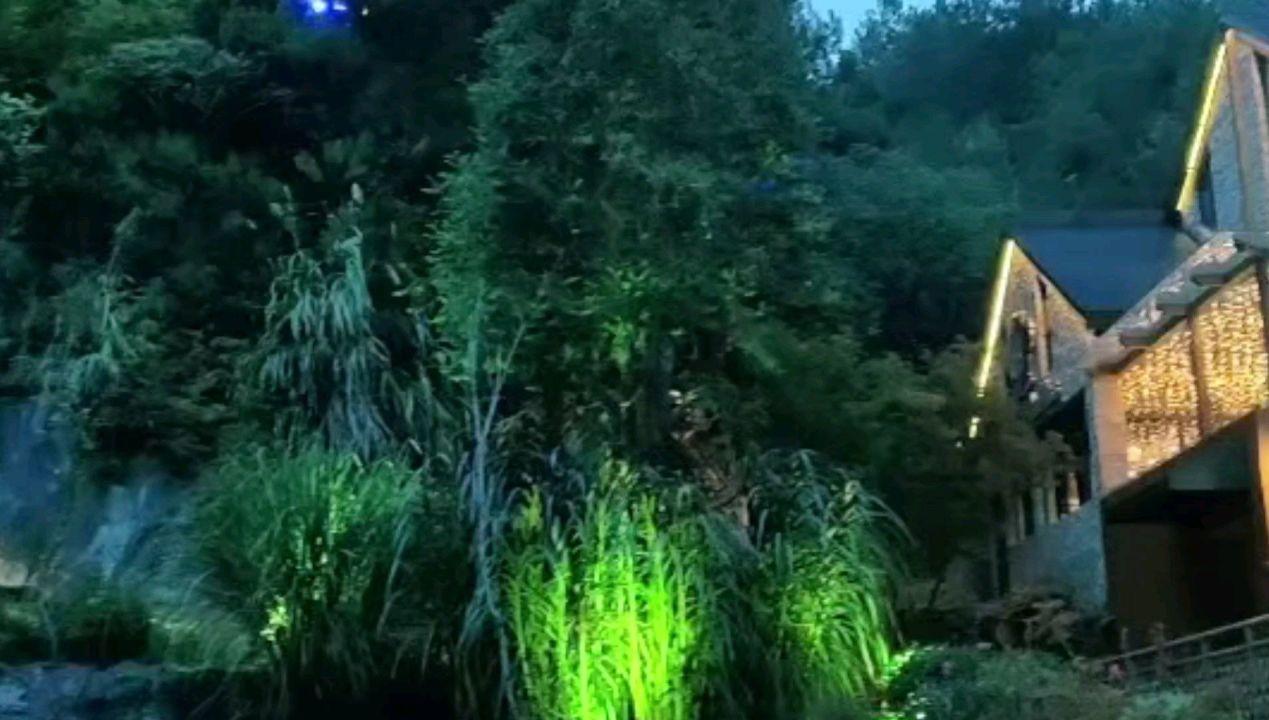 艾迪芬奇的记忆